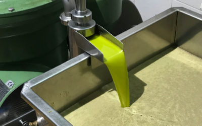 La confusión de los nombres del aceite de oliva